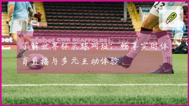 了解世界杯买球网址：畅享实时体育直播与多元互动体验