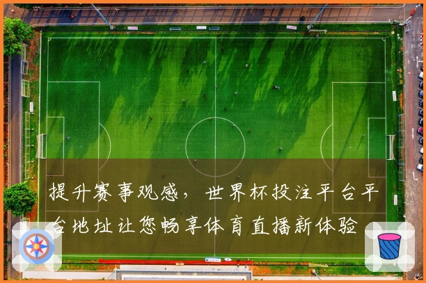 提升赛事观感，世界杯投注平台平台地址让您畅享体育直播新体验