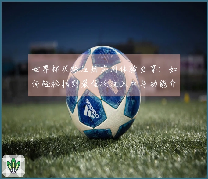 世界杯买球注册实用体验分享：如何轻松找到最佳投注入口与功能介绍