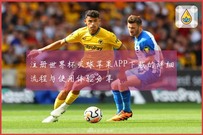 注册世界杯买球苹果APP下载的详细流程与使用体验分享