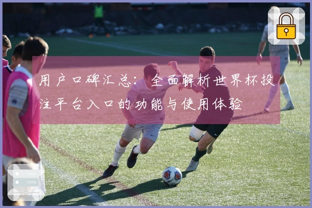 用户口碑汇总：全面解析世界杯投注平台入口的功能与使用体验