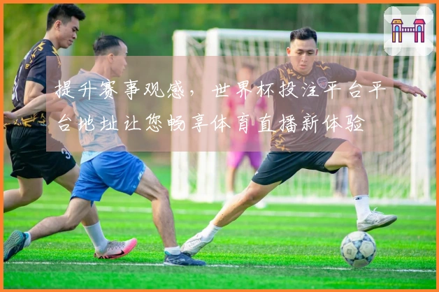 提升赛事观感，世界杯投注平台平台地址让您畅享体育直播新体验