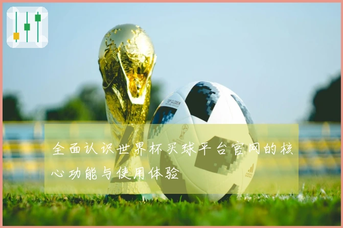 全面认识世界杯买球平台官网的核心功能与使用体验